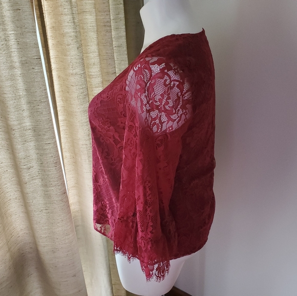 LAST CALL. DONATING 10/24. Modcloth Burgandy V-Neck Lace Blouse - Picture 3 of 5